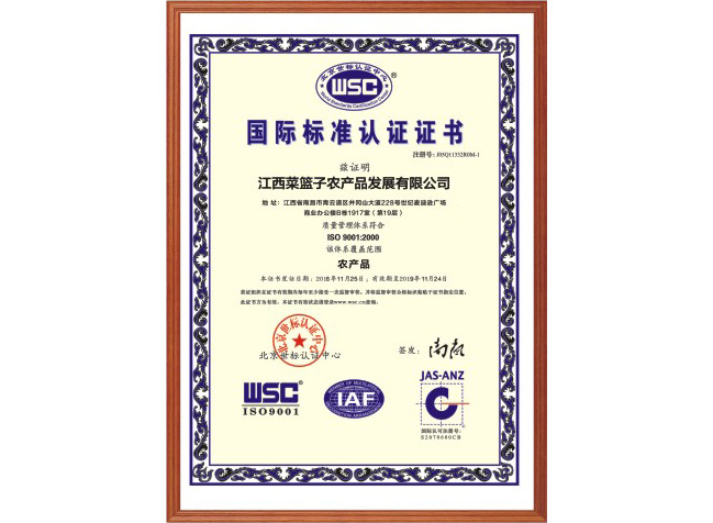 国际标准认证证书
